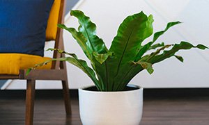 如何策劃裝飾公司網(wǎng)站建設(shè)？