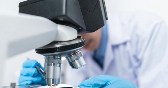 醫(yī)療健康企業(yè)網站建設解決方案