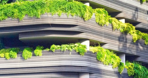 園林景觀行業(yè)網站建設方案