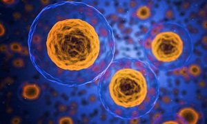 打造卓越醫(yī)療產(chǎn)品展示型網(wǎng)站建設(shè)：五大策略，引領(lǐng)行業(yè)風(fēng)尚！