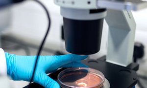 2025年北京網(wǎng)站建設(shè)公司如何提升醫(yī)療生物科技行業(yè)網(wǎng)站用戶體驗？