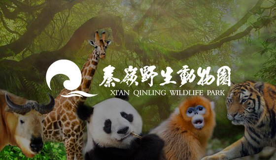旅游景點(diǎn)動物園網(wǎng)站建設(shè)