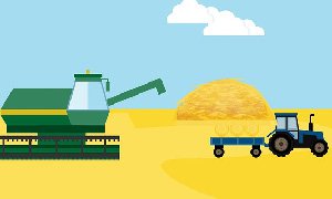 廣西網(wǎng)站建設(shè)公司為糧食公司服務(wù)的核心注意事項