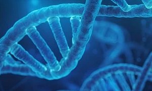 生物制藥網(wǎng)站建設(shè)-生物制藥網(wǎng)站量身定制經(jīng)驗(yàn)豐富原創(chuàng)設(shè)計(jì)