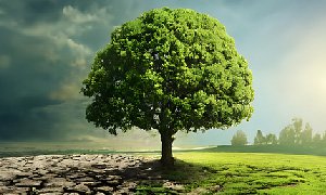 公園網(wǎng)站建設(shè)-公園網(wǎng)站定制開發(fā)經(jīng)驗豐富