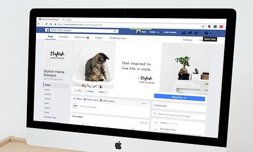 粉絲效應(yīng)與痛點(diǎn)突破:寵物網(wǎng)站建設(shè)的核心邏輯