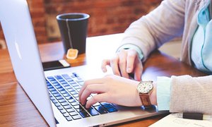 從花鳥(niǎo)市場(chǎng)案例看網(wǎng)站建設(shè)策劃方案的制作流程