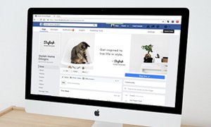 北京網(wǎng)站建設寵物護理美容展示站的價值