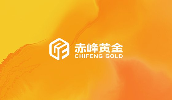 黃金銅貴金屬證券上市公司網(wǎng)站建設(shè)