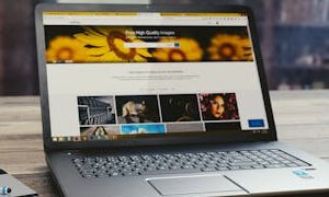 網(wǎng)站設(shè)計(jì)元素的符號學(xué)解讀