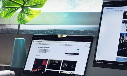 網(wǎng)站建設(shè)里動態(tài)網(wǎng)頁與靜態(tài)網(wǎng)頁的差異解析