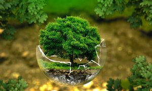 北京網(wǎng)站建設(shè)為節(jié)能裝環(huán)保公司提供定制化設(shè)計(jì)方案